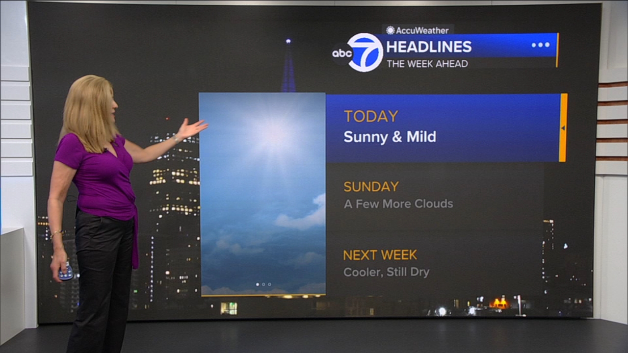 AccuWeather Forecast: Sunny and mild
— ABC 7 Bay Area, Houston Community news