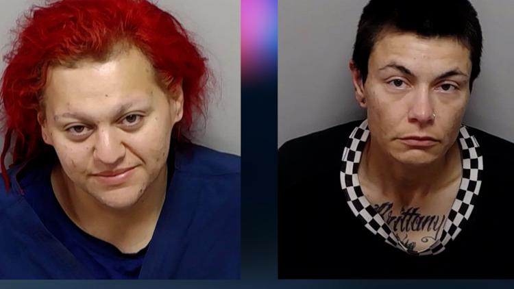 Dogs left to die while owners were passed out and intoxicated in nearby truck, San Antonio police say — KENS 5 (San Antonio), Houston Community news