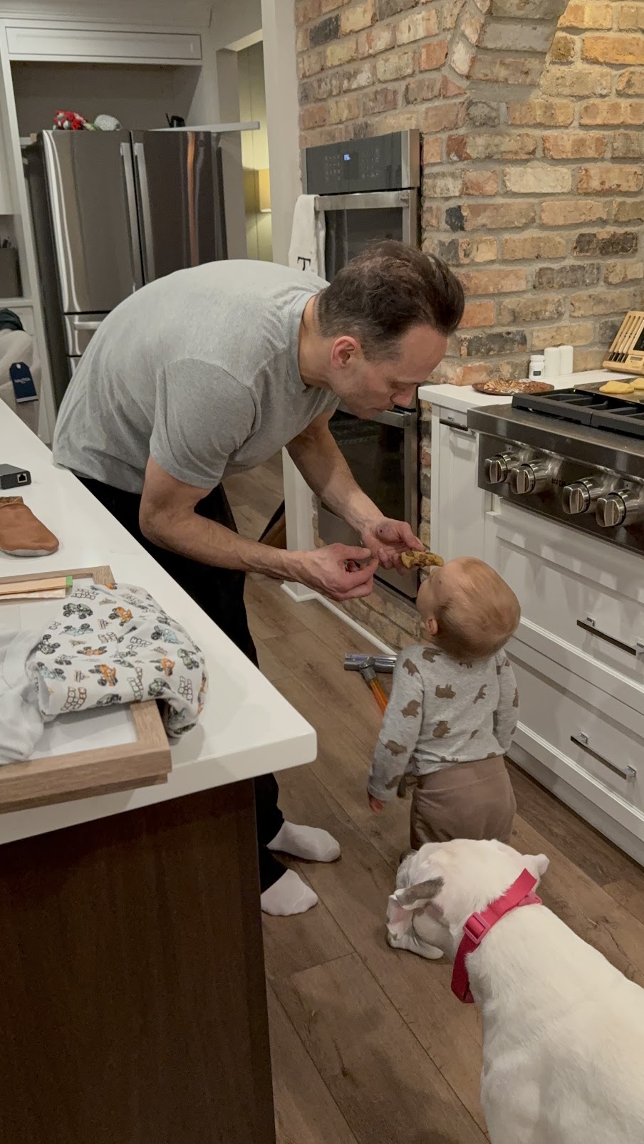 A father feeding a toddler a snack in the kitchen while a white pitbull watches patiently