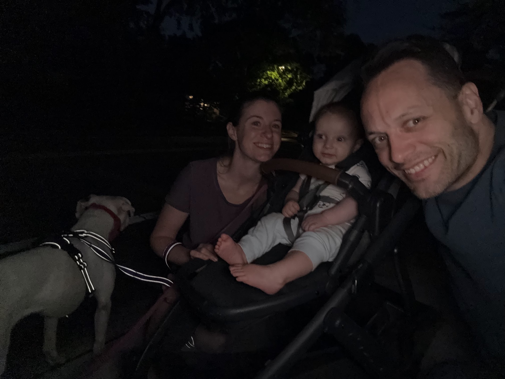 Family evening walk with pitbull